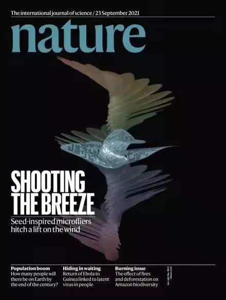 Nature 封面 — 仿风传种子三维微电子飞行器